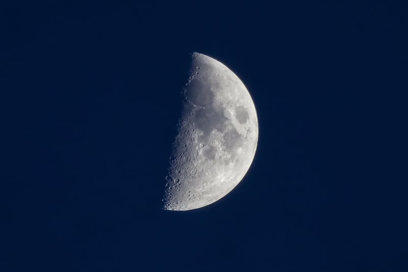 Lunar Holidays