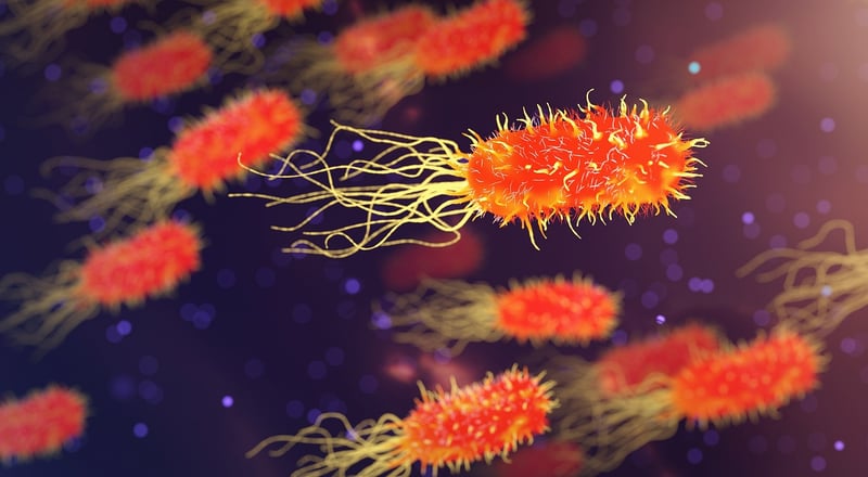 Biohybrid Systems